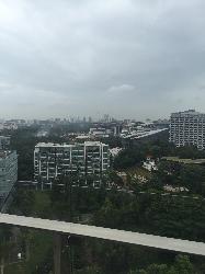The Rochester Residences (D5), Condominium #38632012